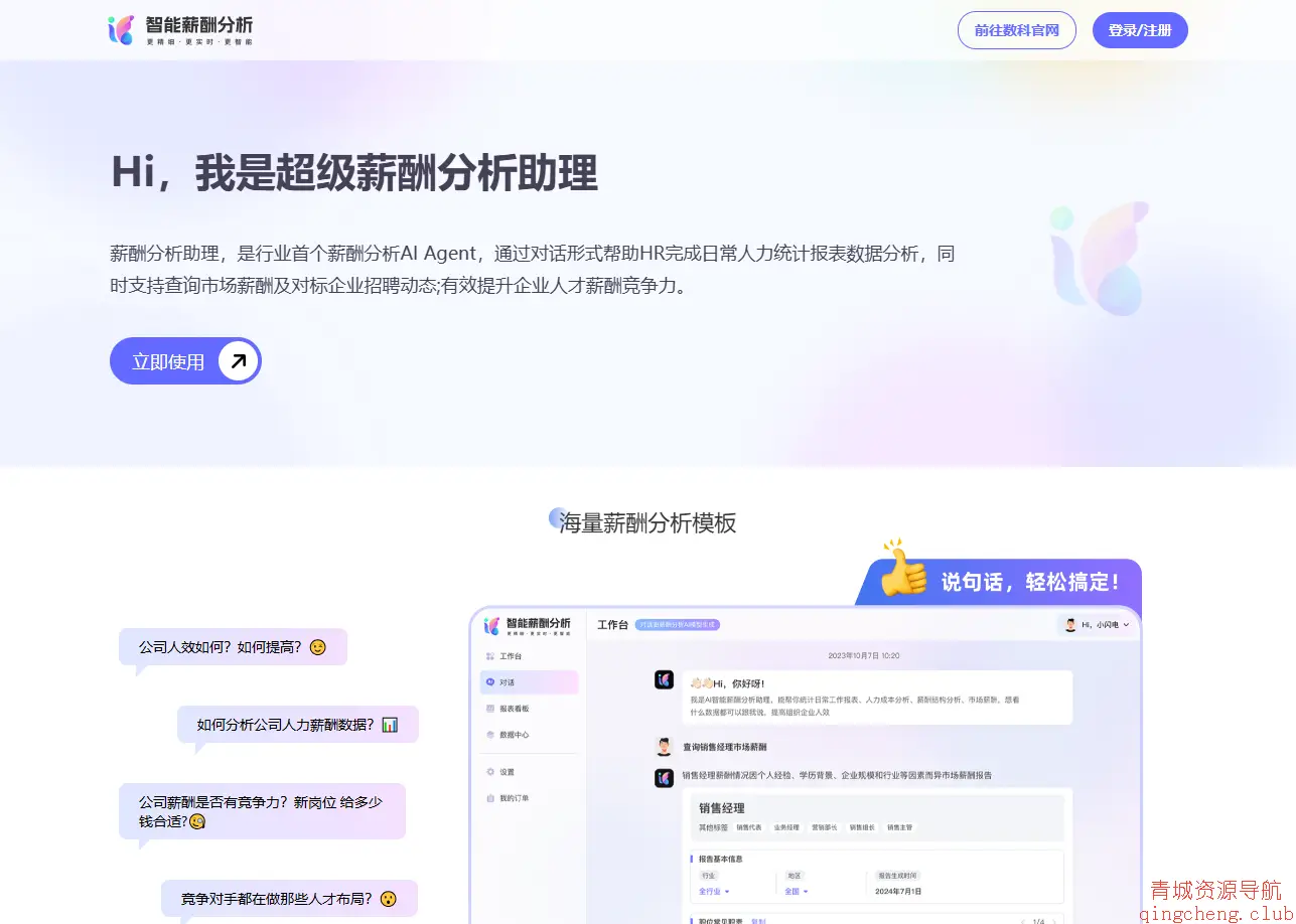 薪酬分析助理AI